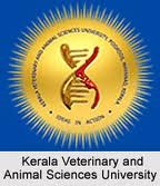 application-for-veterinary-course