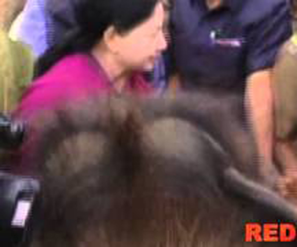 tamil-nadu-chief-minister-j-jayalalithas-narrow-escape-from-an-elephant-attack