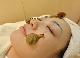 snail-facials-the-new-beauty-treatment