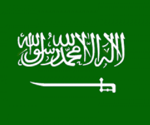 muslim-league-request-to-recheck-the-ban-of-saudi-arabian-channel