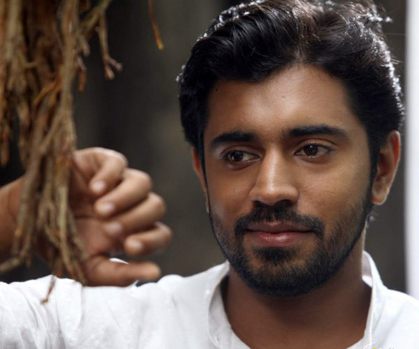 me-only-for-hero-roll-nivin-poly