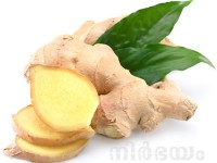 ginger-and-its-benefits