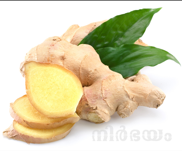 ginger-and-its-benefits