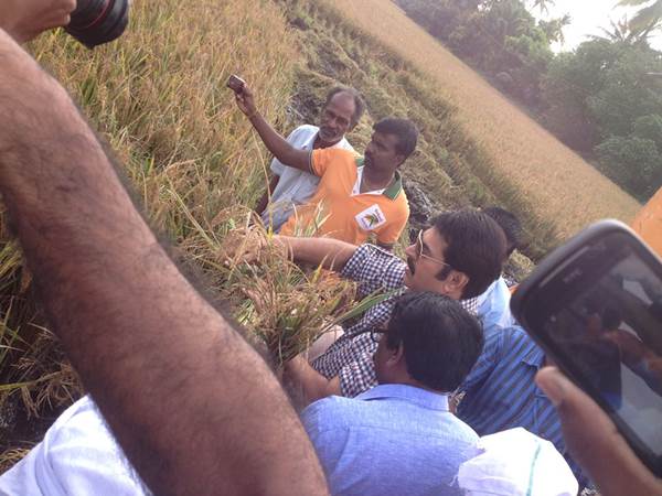 mammootty-did-paddy-cultivation-with-a-sickle-reaped-the-harvest-from-his-land