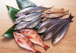 fatty-acids-in-fish-might-protect-the-aging-brain