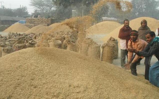 increase-in-wholesale-price-of-rice-in-the-state