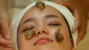 snail-beauty-treatment