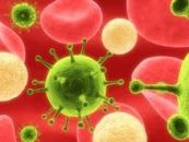 sex-superbug-feared-to-be-more-infectious-than-aids