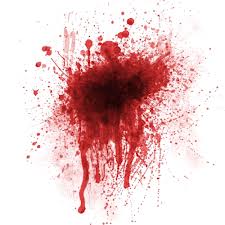 man-killed-in-alappuzha