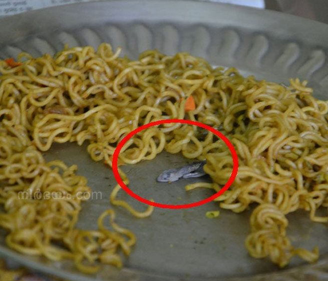 dead-lizard-found-in-maggi-noodles