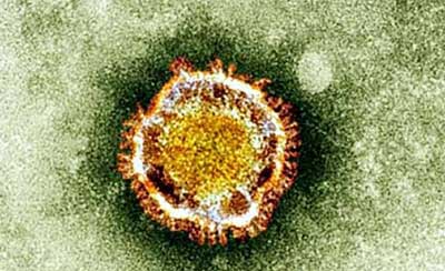 mers-virus-in-kerala
