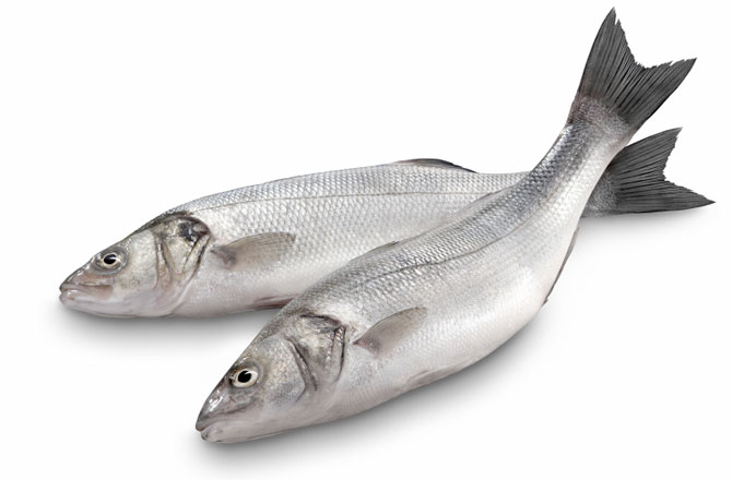 fish-rain-down-on-srilankan-village