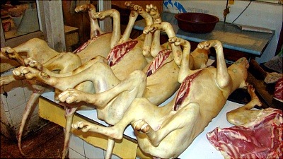 dogs-eaten-at-annual-chinese-festival