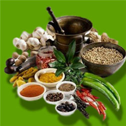 how-to-maintain-normal-cholesterol