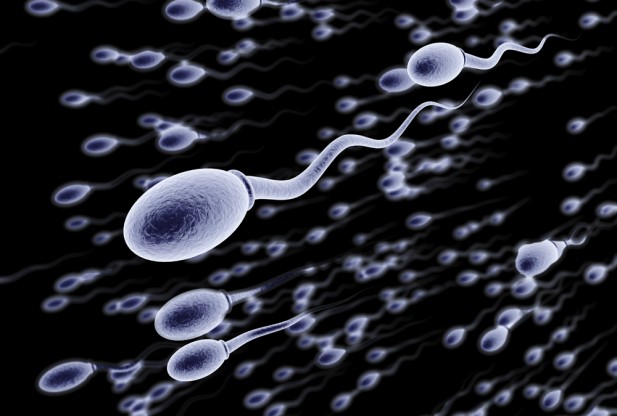 toothpaste-soap-and-plastic-toys-can-cause-male-infertility