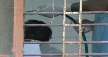 live-postmortem-in-nilambur-district-hospital