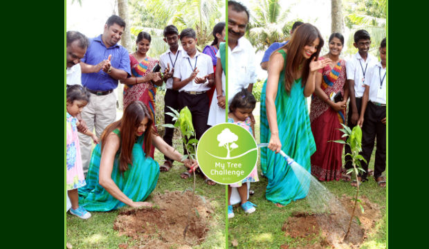 bipash-part-of-mammoottys-my-tree-challenge