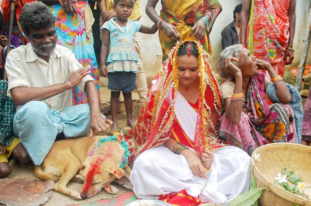 girl-forced-to-marry-stray-dog-to-ward-off-evil-forces