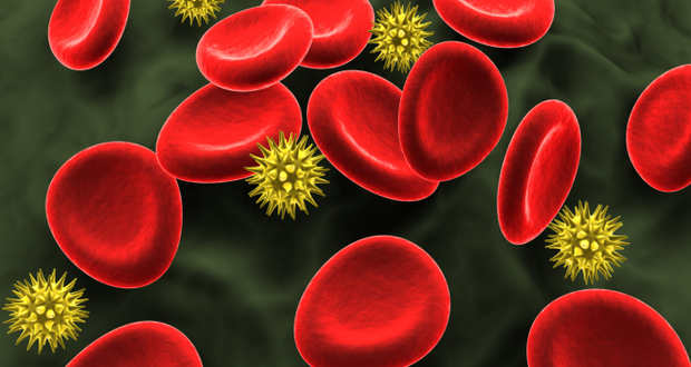 artificial-biospleen-to-filter-blood-from-deadly-pathogens-like-ebola