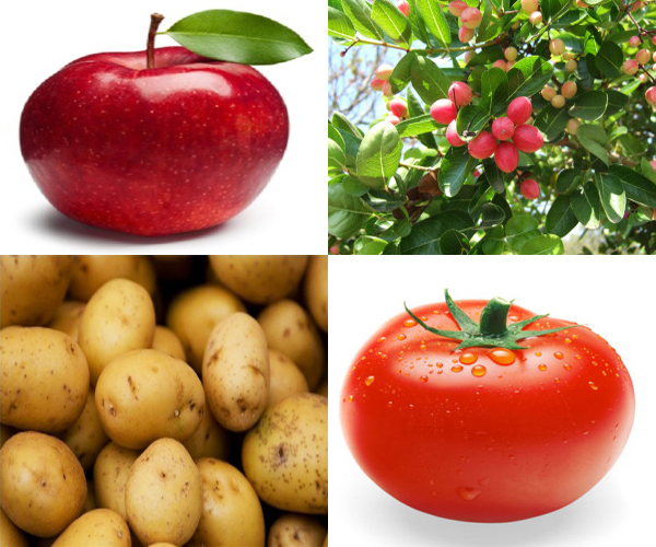 5-vegetables-and-fruits-that-can-kill-you