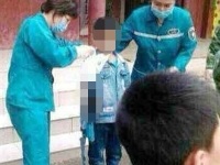 bear-in-china-zoo-bites-off-nine-year-old-boys-arm