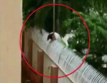 chinese-student-gets-electrocuted-while-climbing-fence-sneaking-out-of-school-to-meet-boyfriend