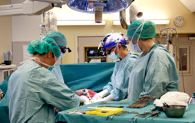 first-womb-transplant-baby-born
