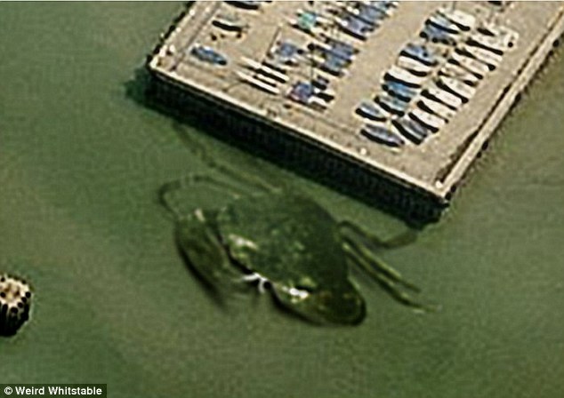 giant-crab-measuring-at-least-50ft-across-lurking-in-the-waters-off-whitstable
