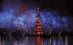 worlds-biggest-floating-christmas-tree-in-brazil