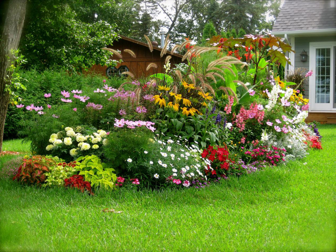 poisonous-plants-in-your-garden