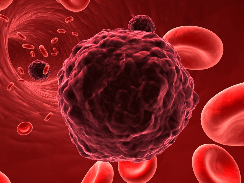 researchers-discover-small-molecule-that-can-shrink-tumorskill-cancer-cells