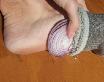 purify-blood-by-putting-sliced-up-onions-in-your-socks-while-you-sleep