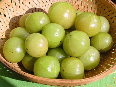 health-benefits-of-indian-gooseberry-or-amla
