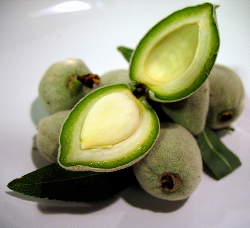 best-benefits-and-uses-of-green-almond