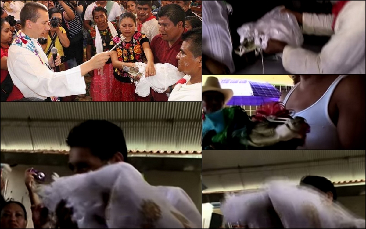 local-mayor-marries-crocodile-for-second-time