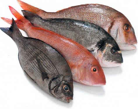 fresh-fish-recognization-healthy-food