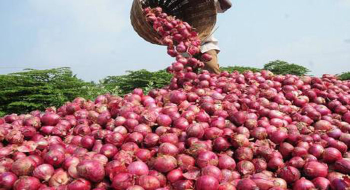 onion-prices-plunge-to-rs-5-nashik-farmers-get-all-teary-eyed