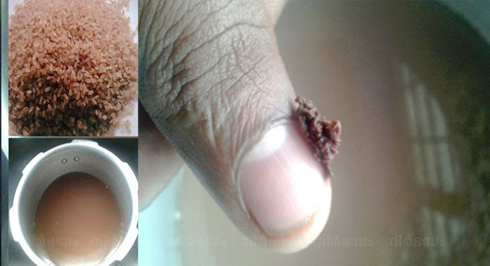 ajeesh-lals-video-about-pavizham-rice