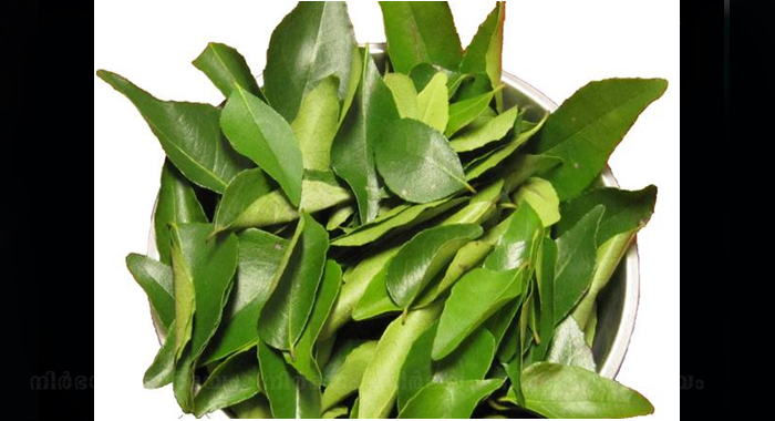 how-use-curry-leaves-skin