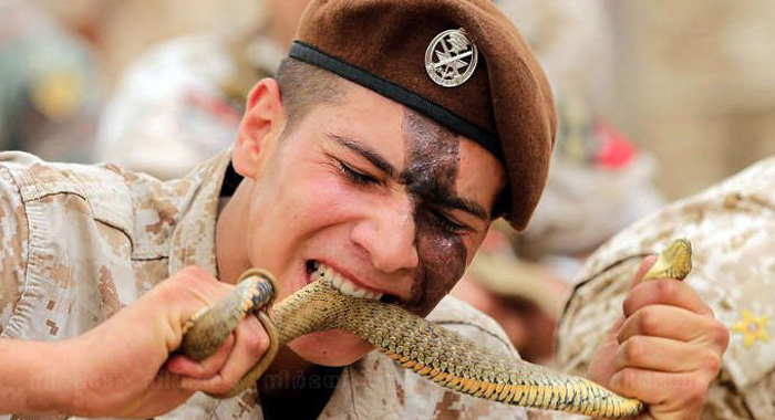lebanese-commandos-grit-their-teeth-and-eat-live-snakes