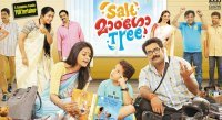 salt-mango-tree-film-review