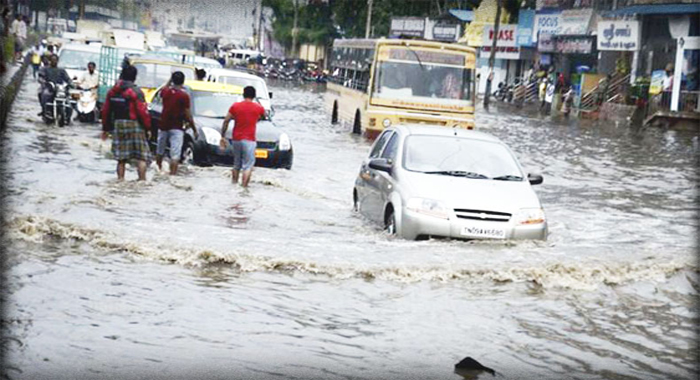 chennai-rains-throwing-up-snakes-say-residents-death-toll-rises-to-95-in-tamil-nadu