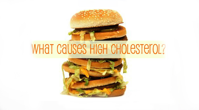 top-10-causes-of-high-cholesterol