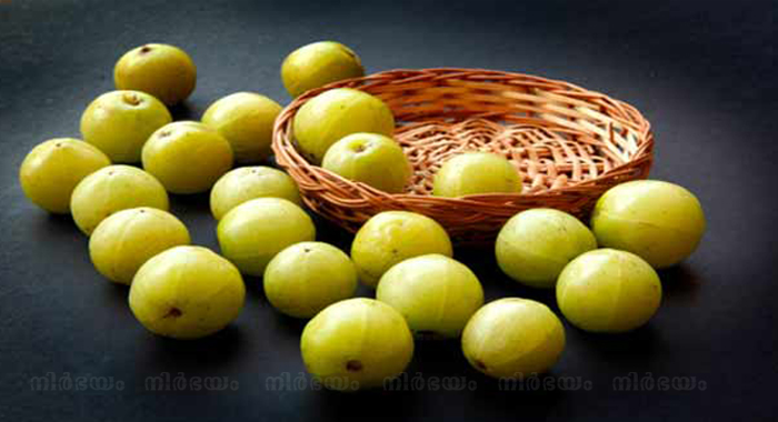 health-benefits-of-amla