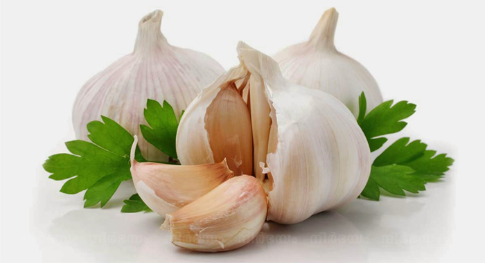 garlic-can-prevent-cancer