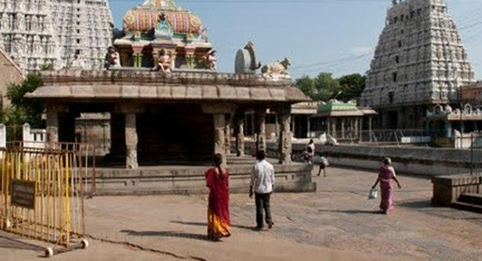 tn-bans-jeans-leggings-in-temples