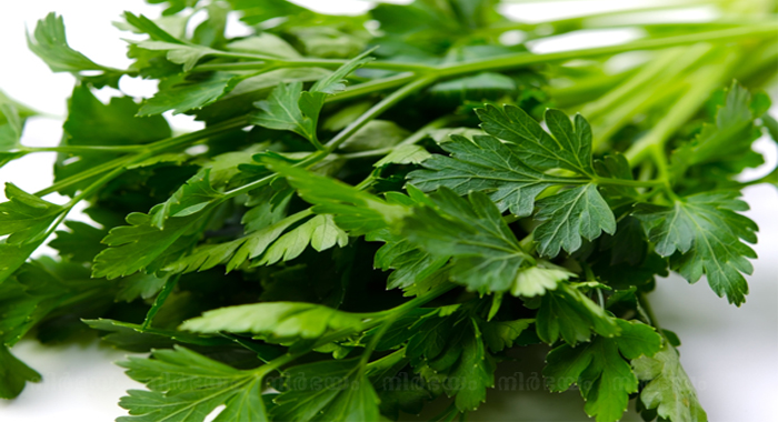 health-benefits-of-coriander