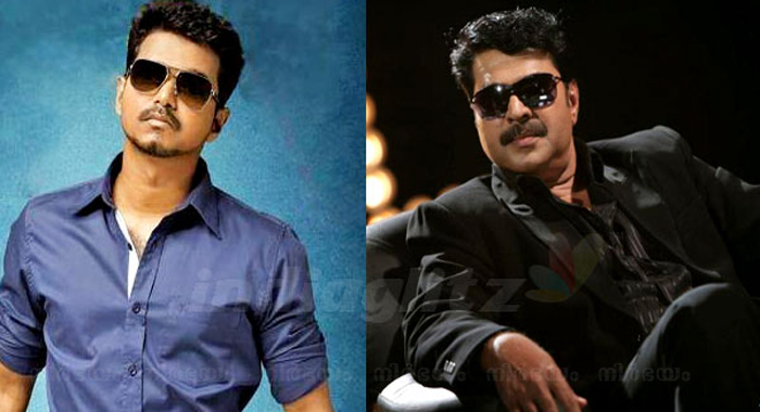 mammootty-to-play-villain-in-vijays-next