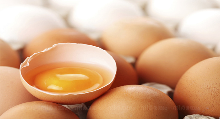 how-to-tell-if-an-egg-is-good-or-bad