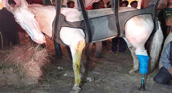bjp-mla-ganesh-joshi-arrested-for-allegedly-assaulting-police-horse-shaktiman